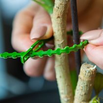 Oldható növénykötöző szett - 40 db - 165 mm  11490