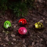 Szolár dekoráció csipesszel - teknős, méhecske, csiga, katica - 10 x 6 x 14 cm - fehér LED