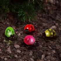   Szolár dekoráció csipesszel - teknős, méhecske, csiga, katica - 10 x 6 x 14 cm - fehér LED