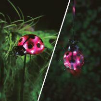   Szolár lámpa - katicabogár - leszúrható / csipeszes - piros - 15 x 7 x 16 cm - 6 LED