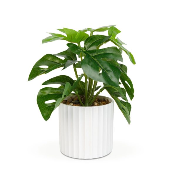 Műnövény dekoráció - filodendron - zöld - 20 x 8 cm