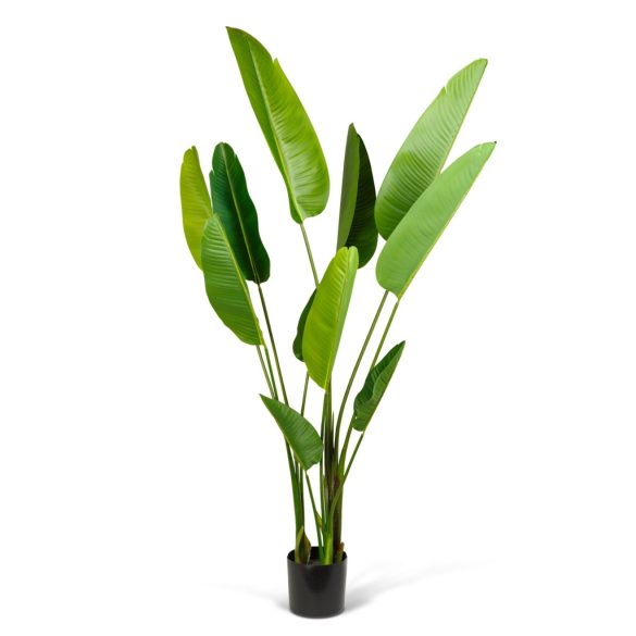 Műnövény dekoráció - banánlevél fa - zöld - 1,9 m