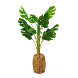 Műnövény dekoráció - filodendron - 1 m