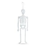 Halloween-i foszforeszkáló dekoráció - csontváz - 32 x 11 cm